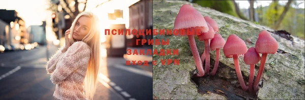 тгк Каменка