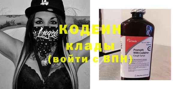 тгк Инсар