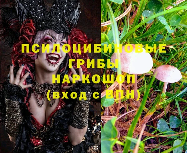 тгк Инсар